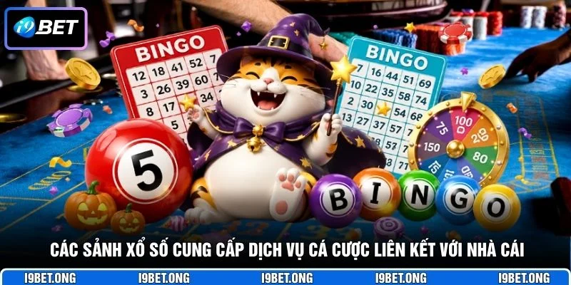 Các sảnh xổ số cung cấp dịch vụ cá cược liên kết với nhà cái