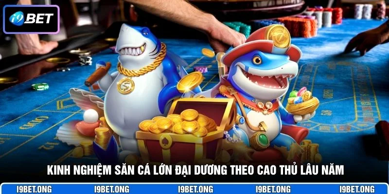 Kinh nghiệm săn cá lớn đại dương theo cao thủ lâu năm