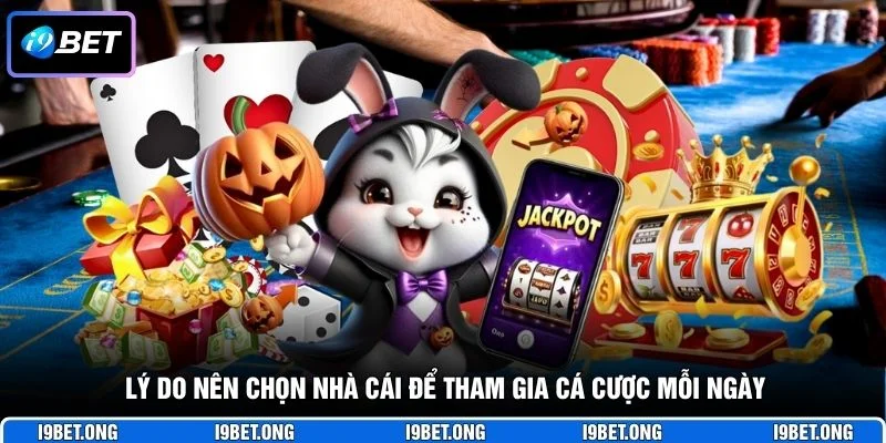 Lý do nên chọn nhà cái để tham gia cá cược mỗi ngày