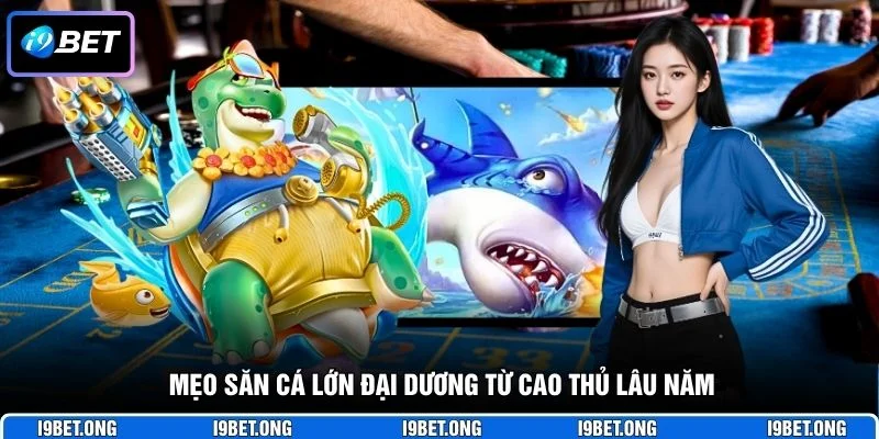 Mẹo săn cá lớn đại dương từ cao thủ lâu năm