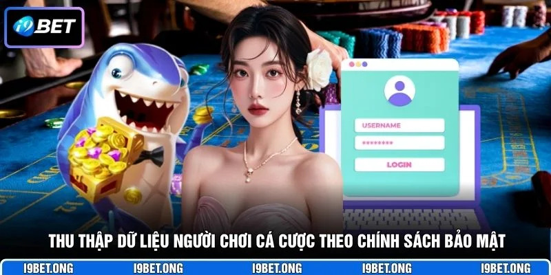 Chính Sách Bảo Mật Thu thập dữ liệu người chơi cá cược theo chính sách bảo mật