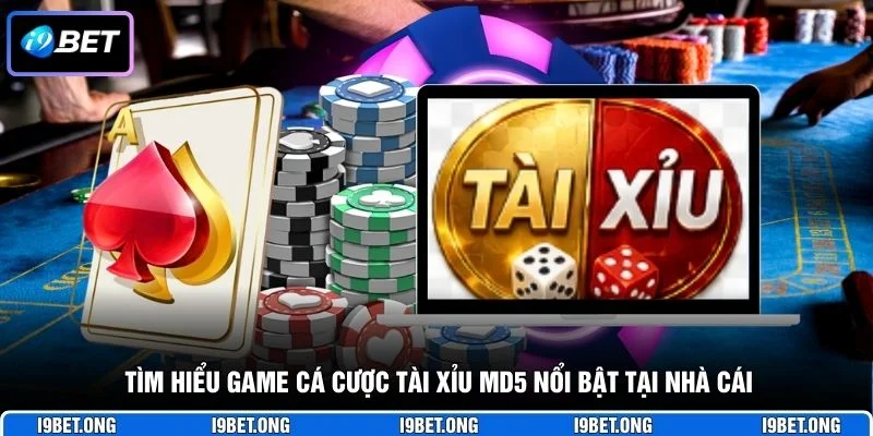 Tìm hiểu game cá cược Tài Xỉu MD5 nổi bật tại nhà cái